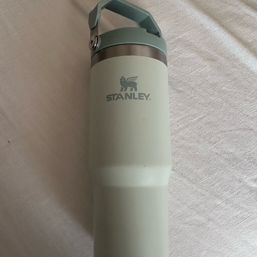 Stanley Sage Green Travel Mug